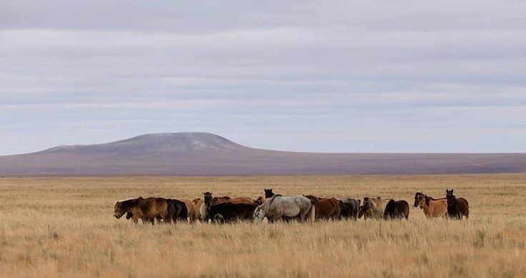 Campo, Argentina